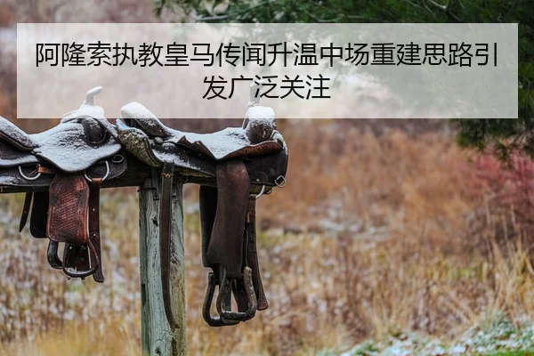 阿隆索执教皇马传闻升温中场重建思路引发广泛关注